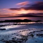 Avatar de Arturo Zúñiga